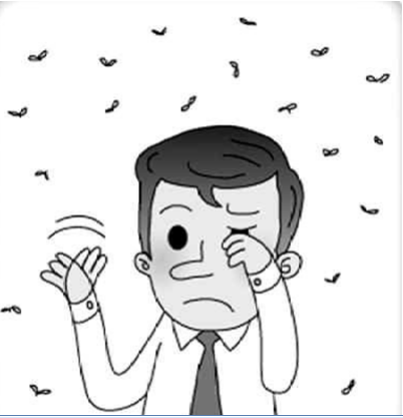 眼前總有小黑影？小心飛蚊癥！