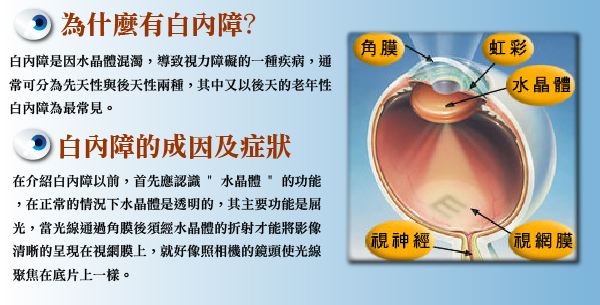多方面認(rèn)識白內(nèi)障，莫讓致盲把心傷